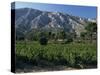 Vineyards and Montagne Ste. Victoire, Near Aix-En-Provence, Bouches-Du-Rhone, Provence, France-David Hughes-Stretched Canvas