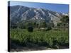 Vineyards and Montagne Ste. Victoire, Near Aix-En-Provence, Bouches-Du-Rhone, Provence, France-David Hughes-Stretched Canvas