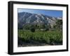 Vineyards and Montagne Ste. Victoire, Near Aix-En-Provence, Bouches-Du-Rhone, Provence, France-David Hughes-Framed Photographic Print