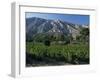 Vineyards and Montagne Ste. Victoire, Near Aix-En-Provence, Bouches-Du-Rhone, Provence, France-David Hughes-Framed Photographic Print