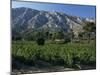 Vineyards and Montagne Ste. Victoire, Near Aix-En-Provence, Bouches-Du-Rhone, Provence, France-David Hughes-Mounted Photographic Print