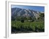 Vineyards and Montagne Ste. Victoire, Near Aix-En-Provence, Bouches-Du-Rhone, Provence, France-David Hughes-Framed Photographic Print