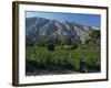Vineyards and Montagne Ste. Victoire, Near Aix-En-Provence, Bouches-Du-Rhone, Provence, France-David Hughes-Framed Photographic Print