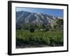 Vineyards and Montagne Ste. Victoire, Near Aix-En-Provence, Bouches-Du-Rhone, Provence, France-David Hughes-Framed Photographic Print