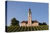 Vineyards and Pilgrimage Church of Birnau Abbey-Markus Lange-Stretched Canvas