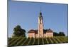 Vineyards and Pilgrimage Church of Birnau Abbey-Markus Lange-Mounted Photographic Print