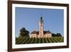 Vineyards and Pilgrimage Church of Birnau Abbey-Markus Lange-Framed Photographic Print