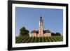 Vineyards and Pilgrimage Church of Birnau Abbey-Markus Lange-Framed Photographic Print