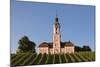 Vineyards and Pilgrimage Church of Birnau Abbey-Markus Lange-Mounted Photographic Print