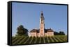 Vineyards and Pilgrimage Church of Birnau Abbey-Markus Lange-Framed Stretched Canvas