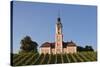 Vineyards and Pilgrimage Church of Birnau Abbey-Markus Lange-Stretched Canvas