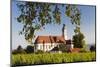 Vineyards and Pilgrimage Church of Birnau Abbey-Markus Lange-Mounted Photographic Print