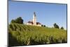 Vineyards and Pilgrimage Church of Birnau Abbey-Markus Lange-Mounted Photographic Print