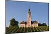 Vineyards and Pilgrimage Church of Birnau Abbey-Markus Lange-Mounted Photographic Print