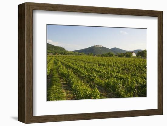 Vineyards and Stift Gottfried, Krems, Wachau, Austria-Charles Bowman-Framed Photographic Print