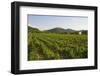 Vineyards and Stift Gottfried, Krems, Wachau, Austria-Charles Bowman-Framed Photographic Print