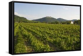 Vineyards and Stift Gottfried, Krems, Wachau, Austria-Charles Bowman-Framed Stretched Canvas