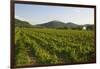 Vineyards and Stift Gottfried, Krems, Wachau, Austria-Charles Bowman-Framed Photographic Print