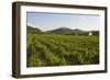 Vineyards and Stift Gottfried, Krems, Wachau, Austria-Charles Bowman-Framed Photographic Print