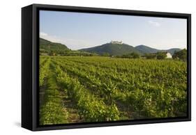 Vineyards and Stift Gottfried, Krems, Wachau, Austria-Charles Bowman-Framed Stretched Canvas