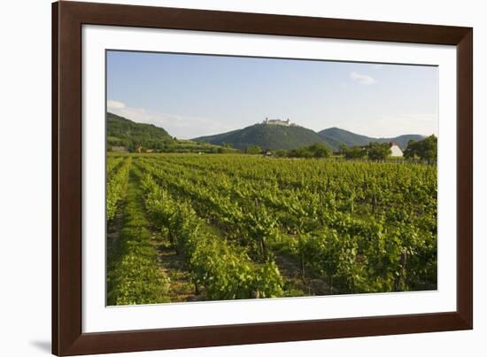 Vineyards and Stift Gottfried, Krems, Wachau, Austria-Charles Bowman-Framed Photographic Print