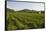 Vineyards and Stift Gottfried, Krems, Wachau, Austria-Charles Bowman-Framed Stretched Canvas