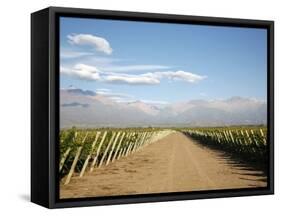 Vineyards and the Andes Mountains in Lujan De Cuyo, Mendoza, Argentina, South America-Yadid Levy-Framed Stretched Canvas