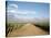 Vineyards and the Andes Mountains in Lujan De Cuyo, Mendoza, Argentina, South America-Yadid Levy-Stretched Canvas