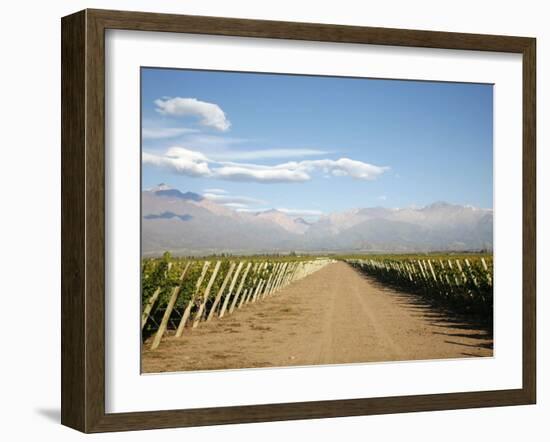 Vineyards and the Andes Mountains in Lujan De Cuyo, Mendoza, Argentina, South America-Yadid Levy-Framed Photographic Print