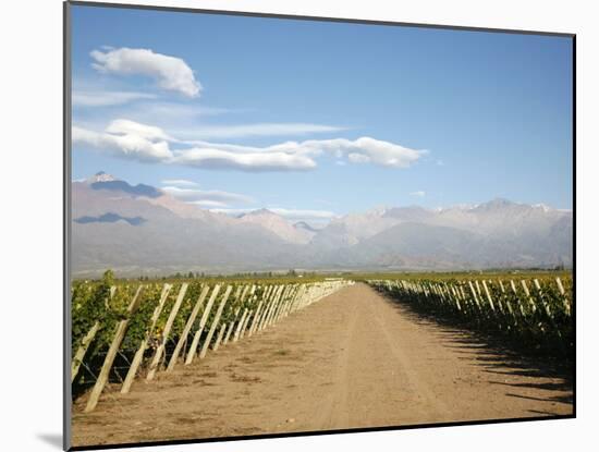 Vineyards and the Andes Mountains in Lujan De Cuyo, Mendoza, Argentina, South America-Yadid Levy-Mounted Photographic Print