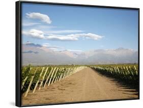 Vineyards and the Andes Mountains in Lujan De Cuyo, Mendoza, Argentina, South America-Yadid Levy-Framed Photographic Print