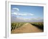 Vineyards and the Andes Mountains in Lujan De Cuyo, Mendoza, Argentina, South America-Yadid Levy-Framed Photographic Print