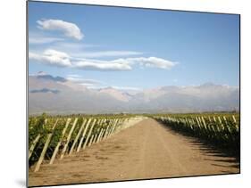 Vineyards and the Andes Mountains in Lujan De Cuyo, Mendoza, Argentina, South America-Yadid Levy-Mounted Photographic Print