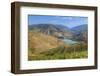 Vineyards and the Douro River, Alto Douro Wine Valley, UNESCO World Heritage Site, Portugal, Europe-Richard Maschmeyer-Framed Photographic Print