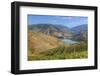 Vineyards and the Douro River, Alto Douro Wine Valley, UNESCO World Heritage Site, Portugal, Europe-Richard Maschmeyer-Framed Photographic Print