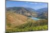 Vineyards and the Douro River, Alto Douro Wine Valley, UNESCO World Heritage Site, Portugal, Europe-Richard Maschmeyer-Mounted Photographic Print