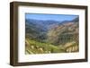 Vineyards and the Douro River, Alto Douro Wine Valley, UNESCO World Heritage Site, Portugal, Europe-Richard Maschmeyer-Framed Photographic Print