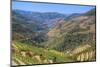 Vineyards and the Douro River, Alto Douro Wine Valley, UNESCO World Heritage Site, Portugal, Europe-Richard Maschmeyer-Mounted Photographic Print