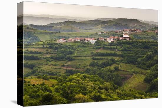 Vineyards and the Hill Top Town of Vedrijan, Goriska Brda, Slovenia, Europe-Matthew Williams-Ellis-Stretched Canvas