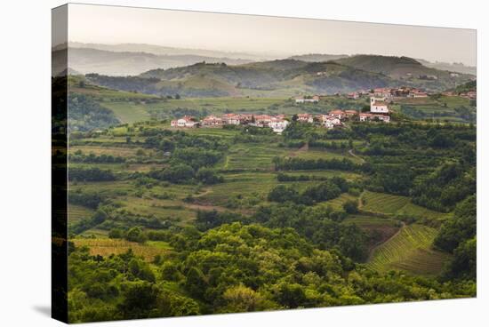 Vineyards and the Hill Top Town of Vedrijan, Goriska Brda, Slovenia, Europe-Matthew Williams-Ellis-Stretched Canvas