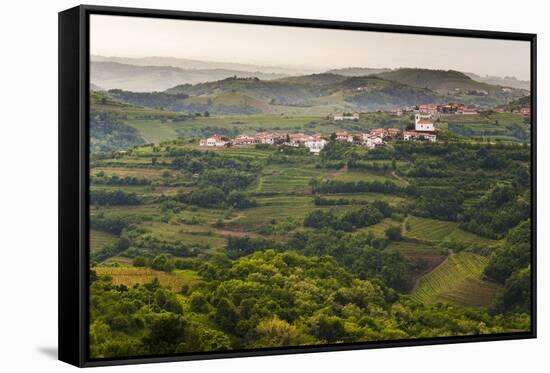 Vineyards and the Hill Top Town of Vedrijan, Goriska Brda, Slovenia, Europe-Matthew Williams-Ellis-Framed Stretched Canvas
