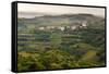 Vineyards and the Hill Top Town of Vedrijan, Goriska Brda, Slovenia, Europe-Matthew Williams-Ellis-Framed Stretched Canvas