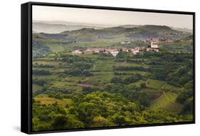 Vineyards and the Hill Top Town of Vedrijan, Goriska Brda, Slovenia, Europe-Matthew Williams-Ellis-Framed Stretched Canvas