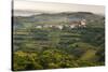 Vineyards and the Hill Top Town of Vedrijan, Goriska Brda, Slovenia, Europe-Matthew Williams-Ellis-Stretched Canvas