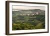 Vineyards and the Hill Top Town of Vedrijan, Goriska Brda, Slovenia, Europe-Matthew Williams-Ellis-Framed Photographic Print