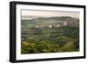 Vineyards and the Hill Top Town of Vedrijan, Goriska Brda, Slovenia, Europe-Matthew Williams-Ellis-Framed Photographic Print