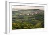 Vineyards and the Hill Top Town of Vedrijan, Goriska Brda, Slovenia, Europe-Matthew Williams-Ellis-Framed Photographic Print