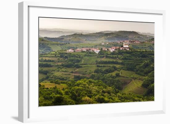 Vineyards and the Hill Top Town of Vedrijan, Goriska Brda, Slovenia, Europe-Matthew Williams-Ellis-Framed Photographic Print