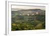 Vineyards and the Hill Top Town of Vedrijan, Goriska Brda, Slovenia, Europe-Matthew Williams-Ellis-Framed Photographic Print