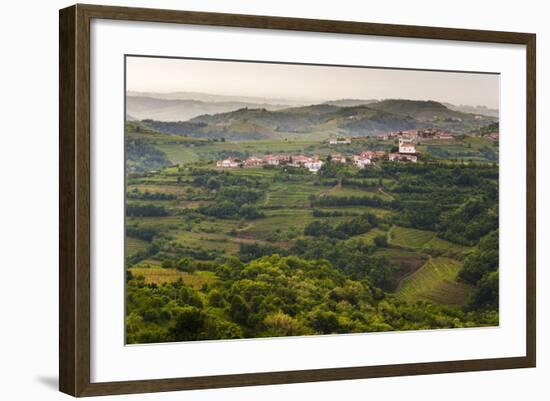 Vineyards and the Hill Top Town of Vedrijan, Goriska Brda, Slovenia, Europe-Matthew Williams-Ellis-Framed Photographic Print